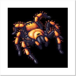 16-Bit Tarantula Posters and Art